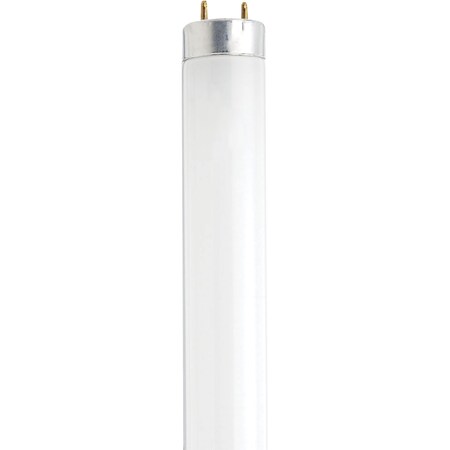 Satco 14W - Fluorescent T8 - 6500K - Daylight - G13 Base S27931